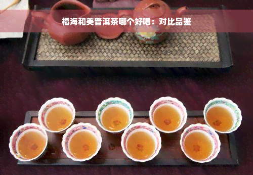 福海和美普洱茶哪个好喝：对比品鉴