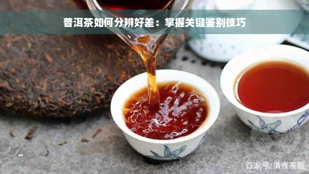 普洱茶如何分辨好差：掌握关键鉴别技巧