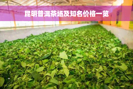 昆明普洱茶场及知名价格一览