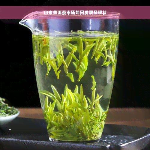 山东普洱茶市场如何发展及现状