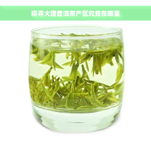 探寻大理普洱茶产区究竟在哪里