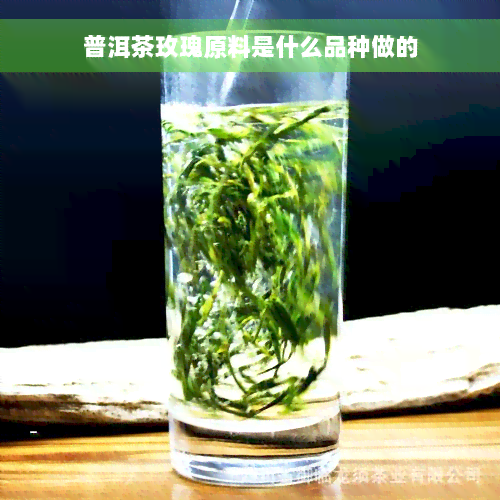 普洱茶玫瑰原料是什么品种做的