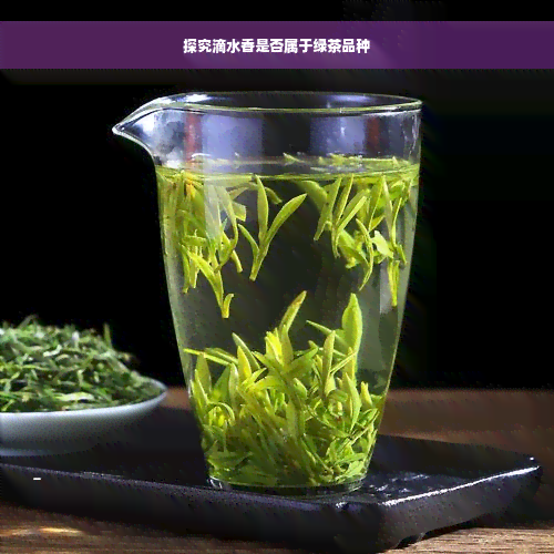 探究滴水香是否属于绿茶品种