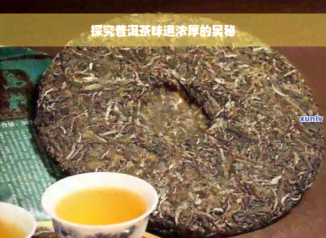 探究普洱茶味道浓厚的奥秘