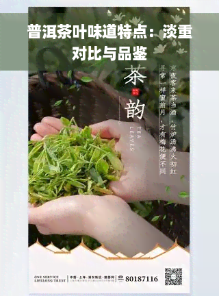 普洱茶叶味道特点：淡重对比与品鉴