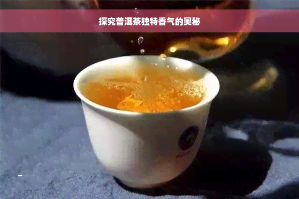 探究普洱茶独特香气的奥秘