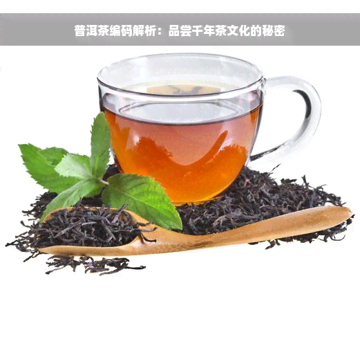 普洱茶编码解析：品尝千年茶文化的秘密