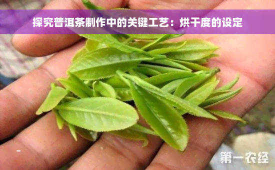 探究普洱茶制作中的关键工艺：烘干度的设定