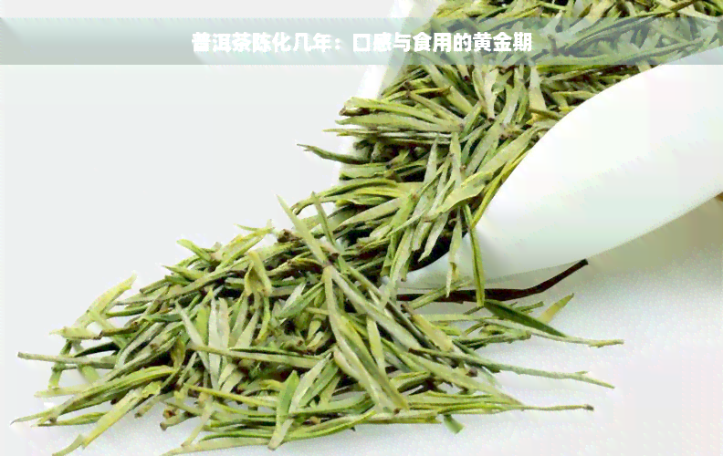 普洱茶陈化几年：口感与食用的黄金期