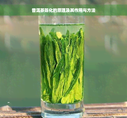 普洱茶陈化的原理及其作用与方法