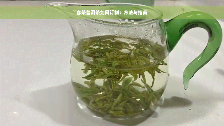 春茶普洱茶如何订制：方法与指南