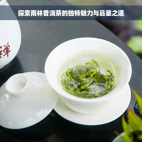 探索雨林普洱茶的独特魅力与品鉴之道