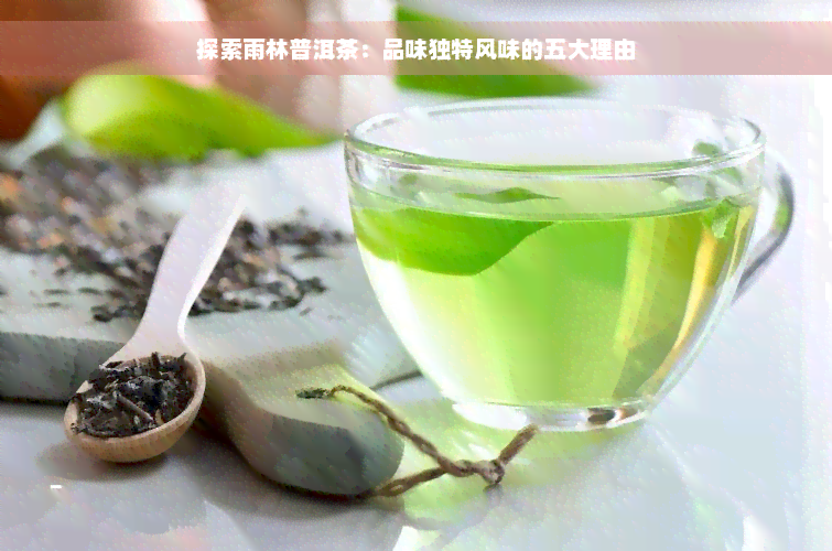 探索雨林普洱茶：品味独特风味的五大理由