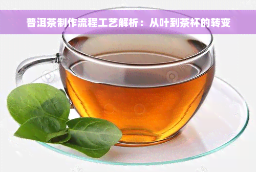 普洱茶制作流程工艺解析：从叶到茶杯的转变