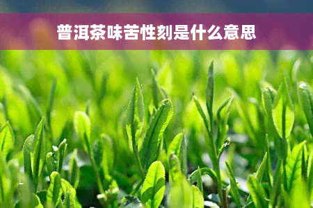 普洱茶味苦性刻是什么意思