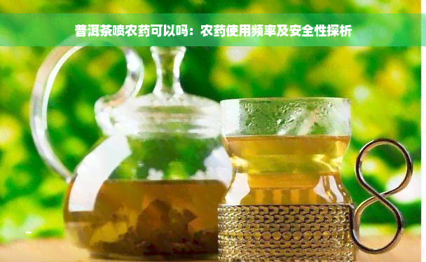 普洱茶喷农药可以吗：农药使用频率及安全性探析