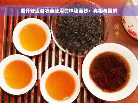 揭开普洱茶农药使用的神秘面纱：真相与误解