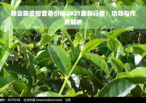 新会陈皮柑普茶价格2021最新行情：功效与作用解析