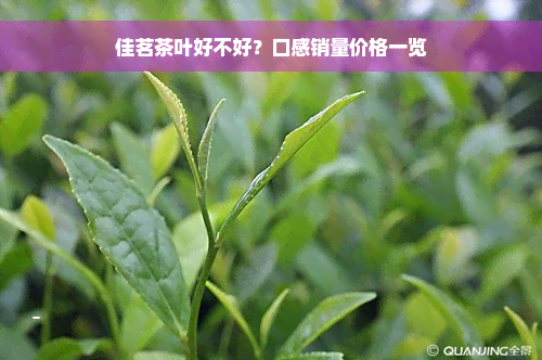 佳茗茶叶好不好？口感销量价格一览