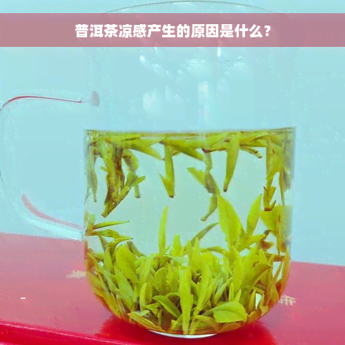 普洱茶凉感产生的原因是什么？