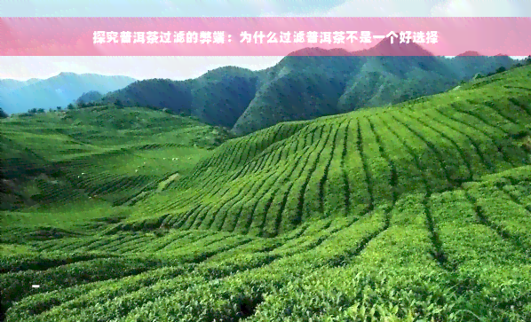 探究普洱茶过滤的弊端：为什么过滤普洱茶不是一个好选择