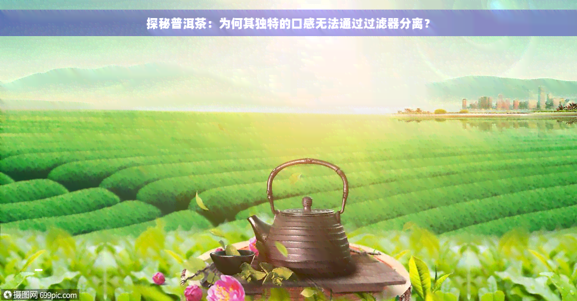 探秘普洱茶：为何其独特的口感无法通过过滤器分离？