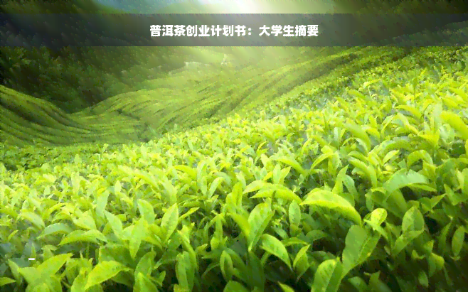 普洱茶创业计划书：大学生摘要