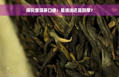 探究普洱茶口感：是清淡还是醇厚？