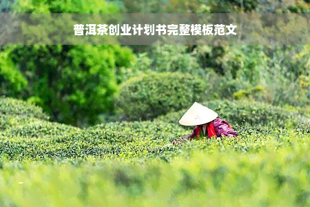 普洱茶创业计划书完整模板范文