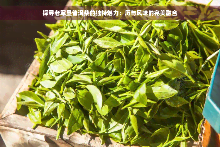 探寻老军垦普洱茶的独特魅力：历与风味的完美融合