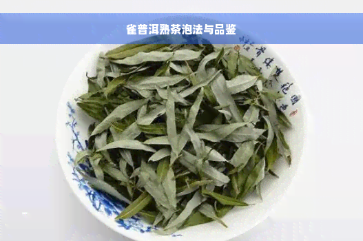 雀普洱熟茶泡法与品鉴