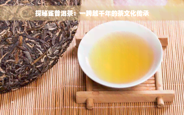 探秘雀普洱茶：一跨越千年的茶文化传承