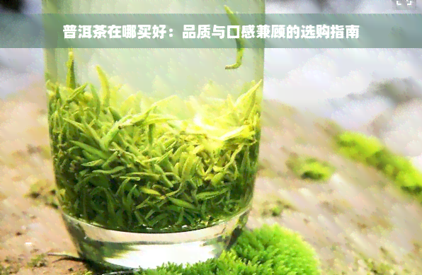 普洱茶在哪买好：品质与口感兼顾的选购指南