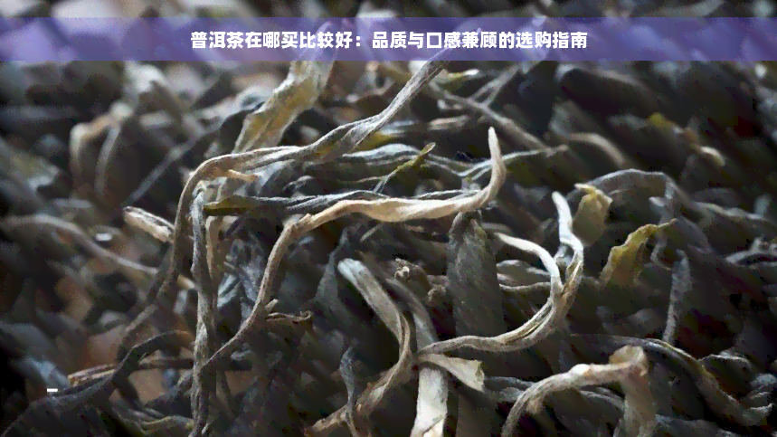 普洱茶在哪买比较好：品质与口感兼顾的选购指南