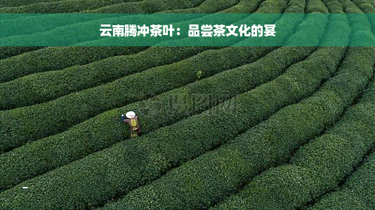 云南腾冲茶叶：品尝茶文化的宴