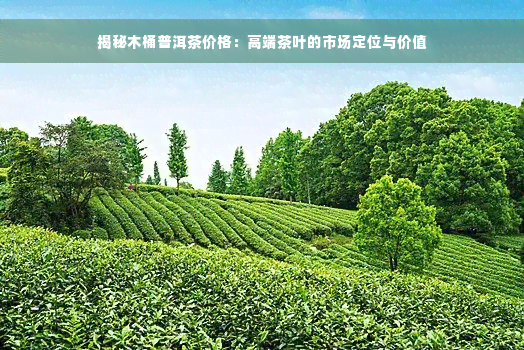 揭秘木桶普洱茶价格：高端茶叶的市场定位与价值