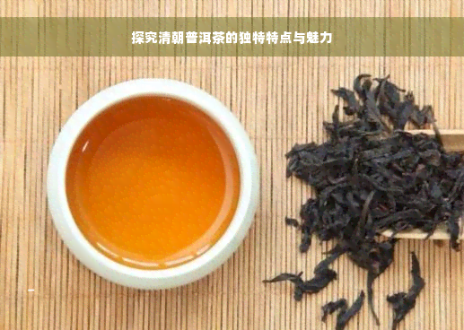 探究清朝普洱茶的独特特点与魅力