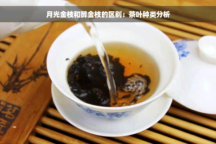 月光金枝和醉金枝的区别：茶叶种类分析