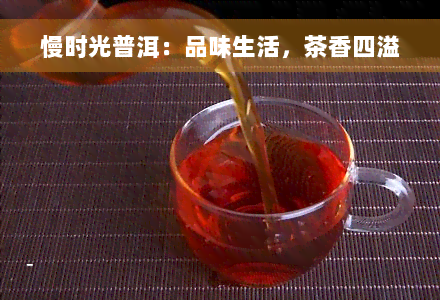 慢时光普洱：品味生活，茶香四溢