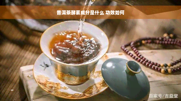 普洱茶酵素成分是什么 功效如何