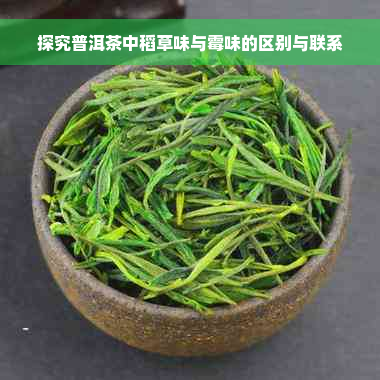 探究普洱茶中稻草味与霉味的区别与联系