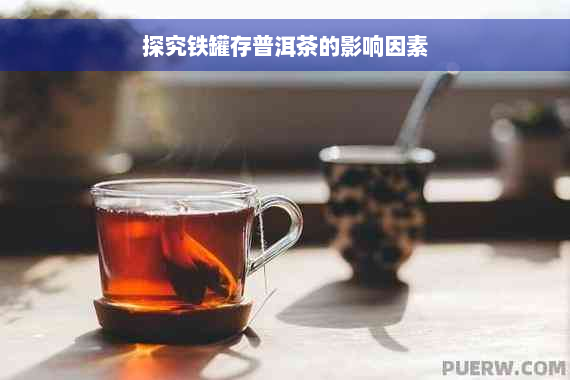 探究铁罐存普洱茶的影响因素