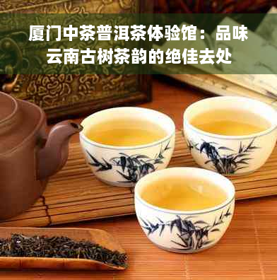 厦门中茶普洱茶体验馆：品味云南古树茶韵的绝佳去处