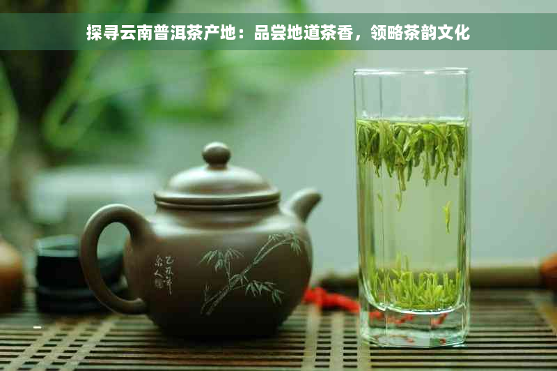 探寻云南普洱茶产地：品尝地道茶香，领略茶韵文化