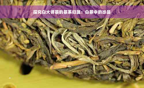 探究白大师茶的茶系归属：白茶中的珍品