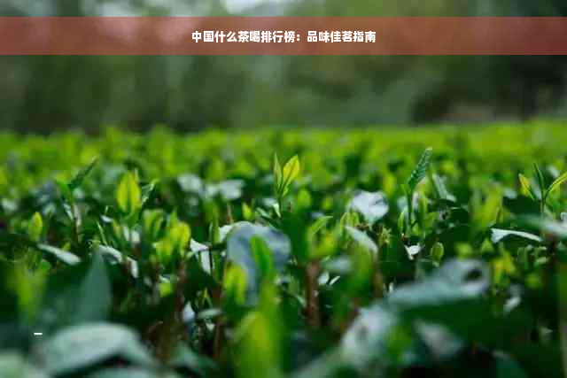 中国什么茶喝排行榜：品味佳茗指南