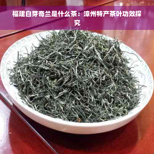 福建白芽奇兰是什么茶：漳州特产茶叶功效探究
