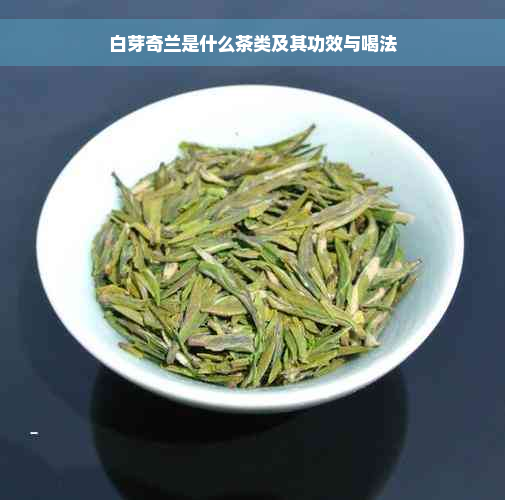 白芽奇兰是什么茶类及其功效与喝法
