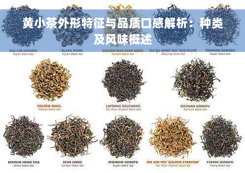 黄小茶外形特征与品质口感解析：种类及风味概述