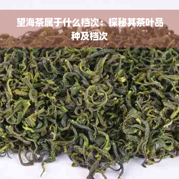 望海茶属于什么档次：探秘其茶叶品种及档次
